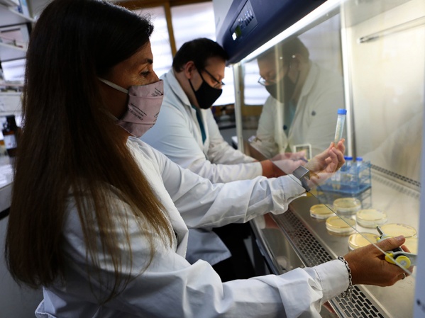 Investigadores de la UNLP lograron transformar desechos de la industria quesera en productos de valor