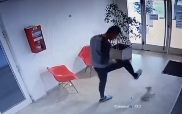 Un hombre pateó ferozmente a una perra en La Plata y quedó filmado por las cámaras de seguridad