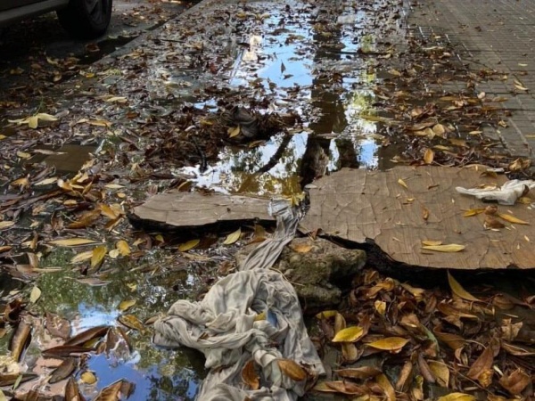 Vecinos de 10 y 55 llevan quej&aacute;ndose hace varios d&iacute;as por una fuga de agua