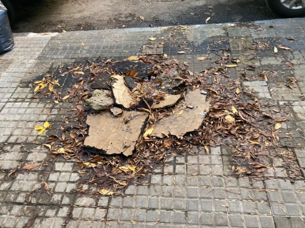 "Pleno centro y sigue siendo un desastre": La molestia de una vecina por el estado de las veredas de La Plata