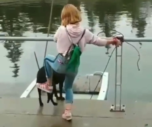 Se filmó pateando a un perro, lo subió a las redes y el video generó repudio en toda la Región