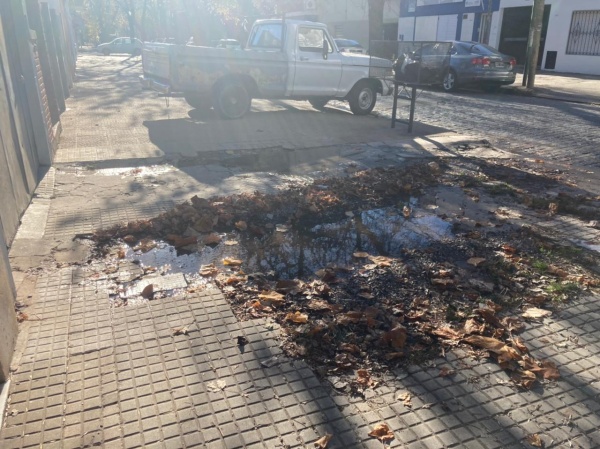 Un metro de vereda completamente rota y llena de agua afecta a los vecinos de Barrio Norte