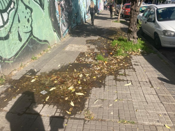 Fuga de agua en pleno centro de La Plata molesta a los vecinos: "Imaginate c&oacute;mo est&aacute; la periferia de la ciudad"