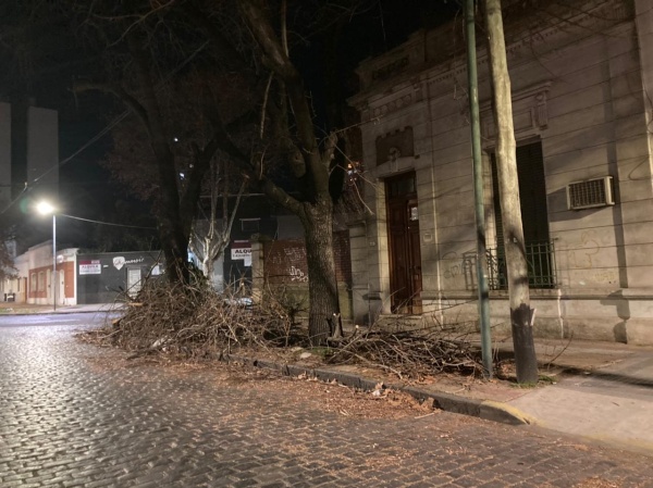 Amontonamiento de ramas preocupa a los vecinos en Barrio Norte platense