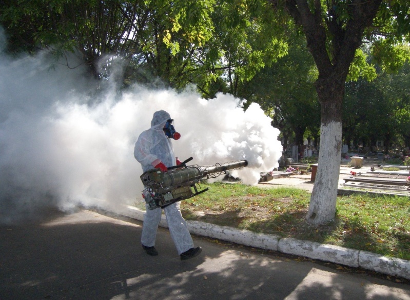 La Provincia de Buenos Aires ya confirmó 25 casos de dengue en este 2023 y pidieron reforzar las medidas de prevención