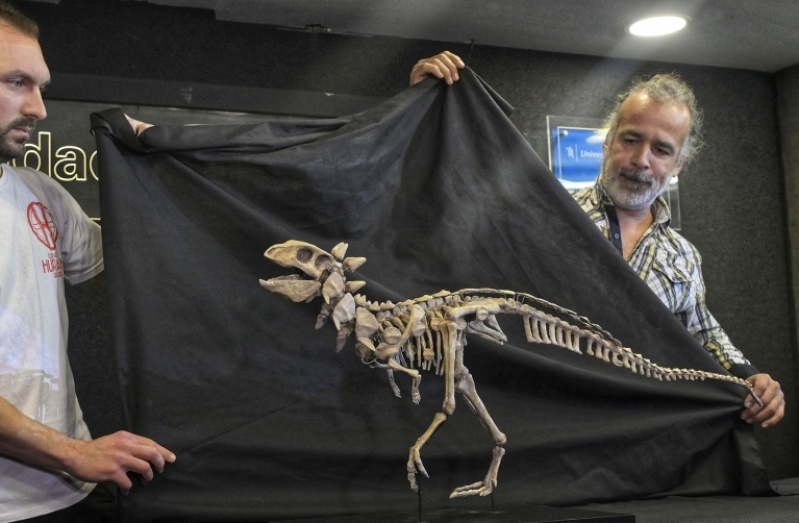 Quién es Jakapil, el dinosaurio que hizo historia en Argentina e impacta en todo el mundo