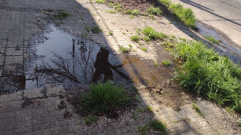 ”Ocupa toda la vereda”: Vecinos de la Loma piden que arreglen una pérdida de agua ”gigante”