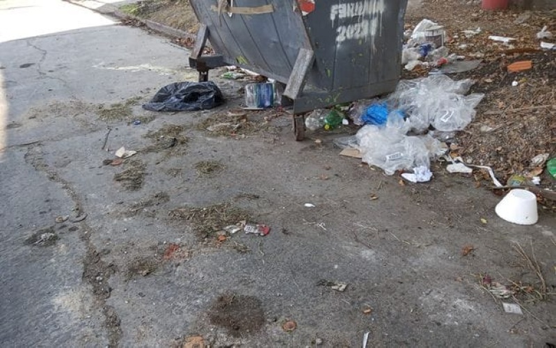 Vecinos de 71 y 26 reclamaron por el estado de un basural repleto de desperdicios: ”Es vergonzoso”