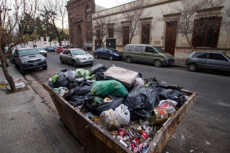 Lo encontraron revolviendo la basura en La Plata y se llevaron una sorpresa: ”Tengo el corazón roto”