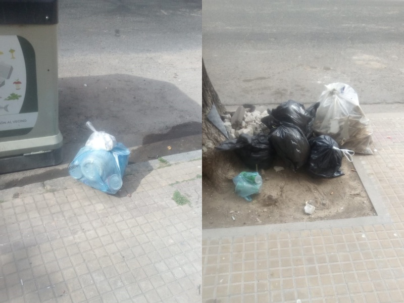 ”Tienen el contenedor al lado y tiran la basura al piso”: bronca entre vecinos de 14 y 45
