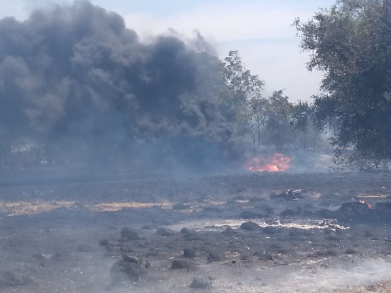 Los incendios de pastizales en La Plata no paran y ya se registraron varias denuncias en distintos puntos de la ciudad