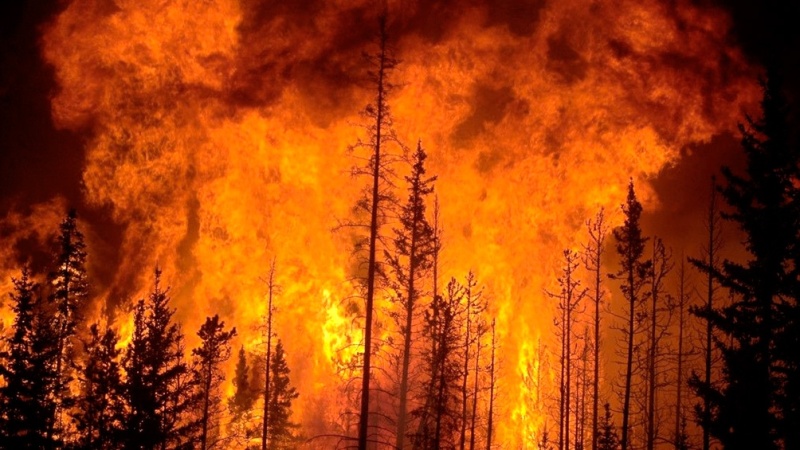 El Gobierno envió refuerzos para los incendios forestales en Chile