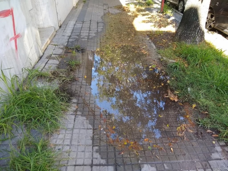 Vecinos de 1 y 59 reclaman por una pérdida de agua que les rompe la vereda