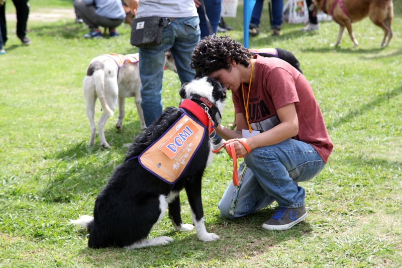 Este miércoles habrá atención veterinaria gratuita en La República de Los Niños