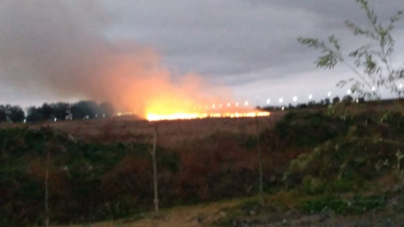Se desató un gran incendio en terrenos ubicados en La Plata
