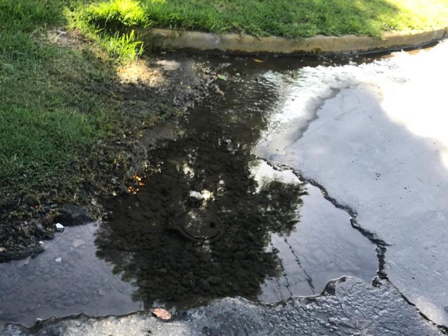 Vecinos de Gonnet se quejan por el estado en que se encuentra el barrio: ”Es mentira que Garro se acuerda de nosotros”