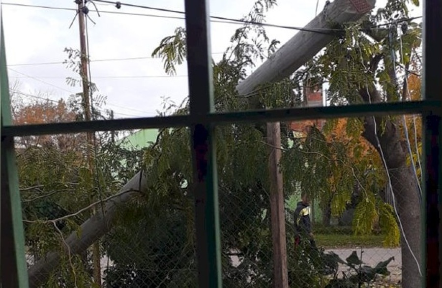 ”Llamamos varias veces y no viene nadie”, el reclamo de una familia platense que tiene un poste caído en la puerta