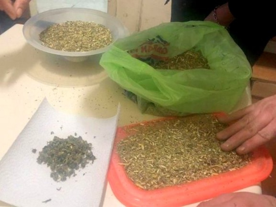 Quisieron pasarle droga a un preso en paquetes de yerba y mayonesa: Mujeres detenidas en Melchor Romero