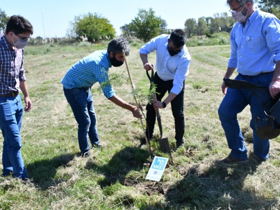 Inauguraron el 'Bosque de la Memoria' en Punta Lara: emotivo homenaje a los desaparecidos por la última dictadura militar
