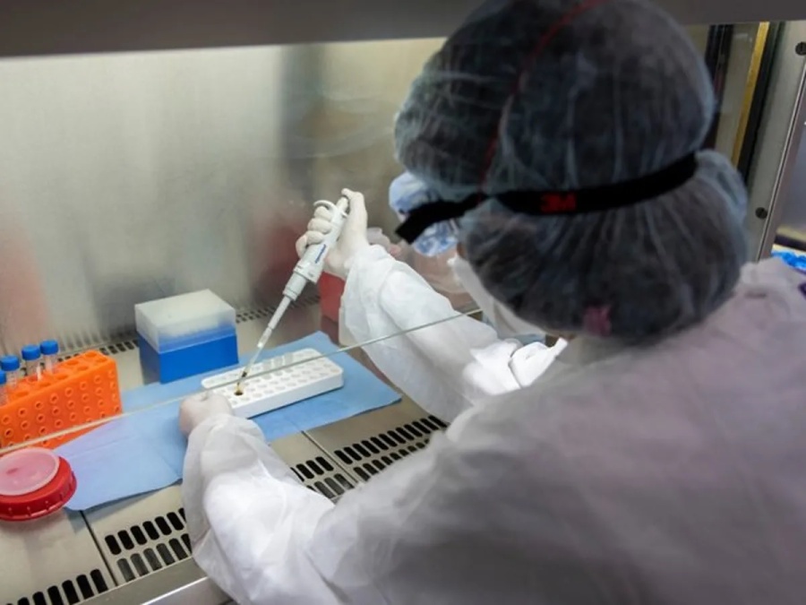 Viruela del Mono: el Ministerio de Salud confirmó el quinto caso en el país y brindó recomendaciones