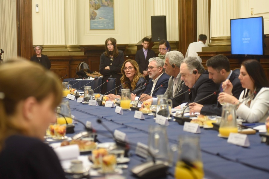 Tolosa Paz propuso medidas a parlamentarios de Noruega para desarrollar el Astillero Río Santiago y el Puerto La Plata