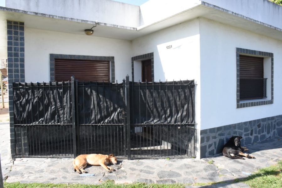 Femicidio seguido de suicidio en Los Hornos: los nuevos detalles de un hecho que conmocionó a la ciudad