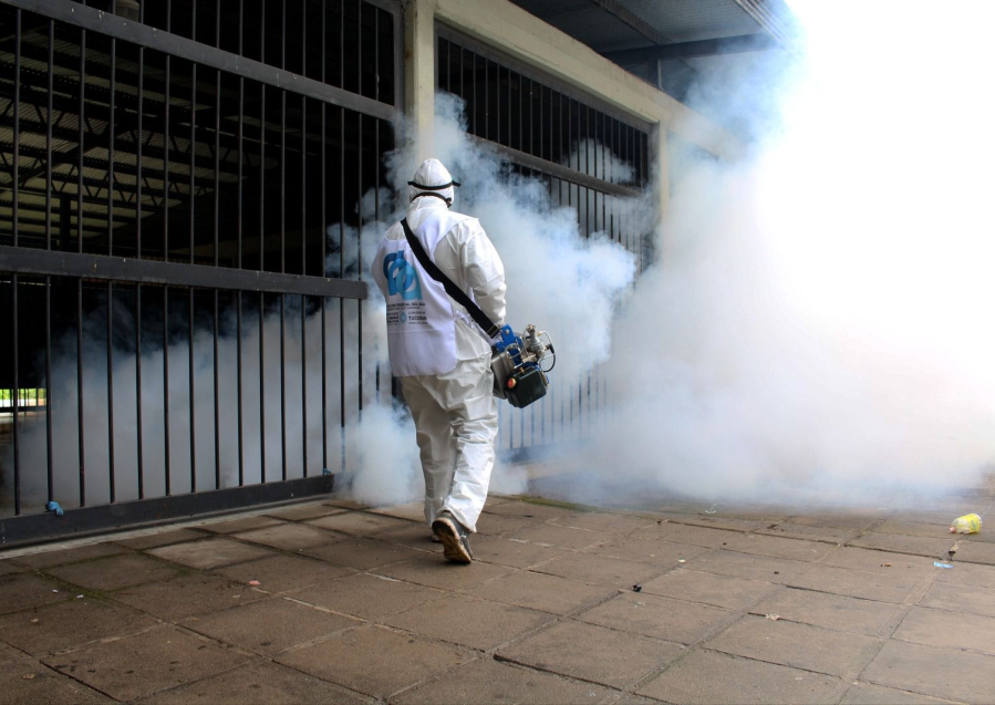 Comenzará la distribución de las vacunas contra el dengue en las provincias con mayor incidencia de casos