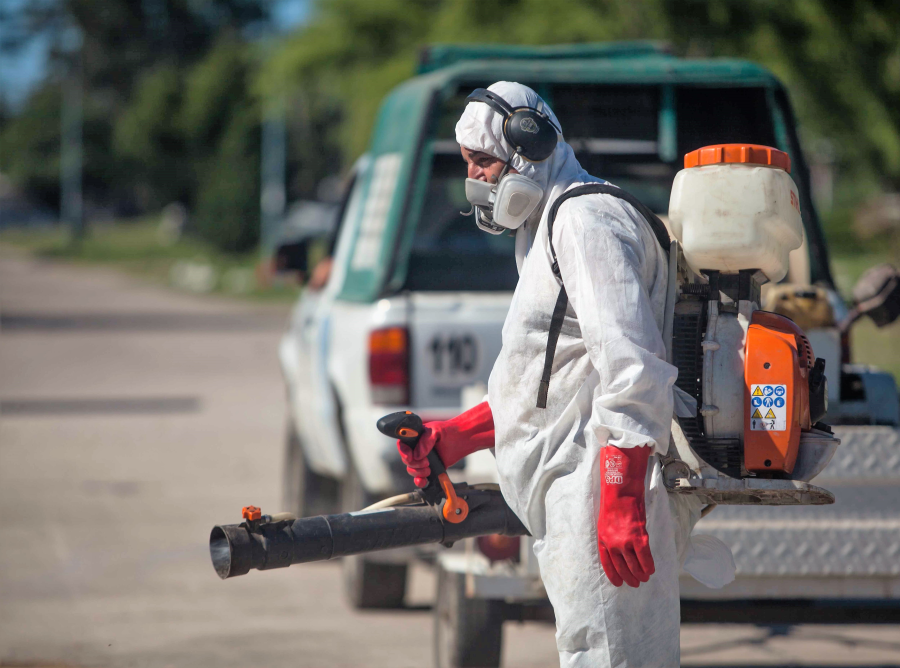 Provincia reportó 34 casos de dengue y todos tienen antecedentes de viaje al norte argentino