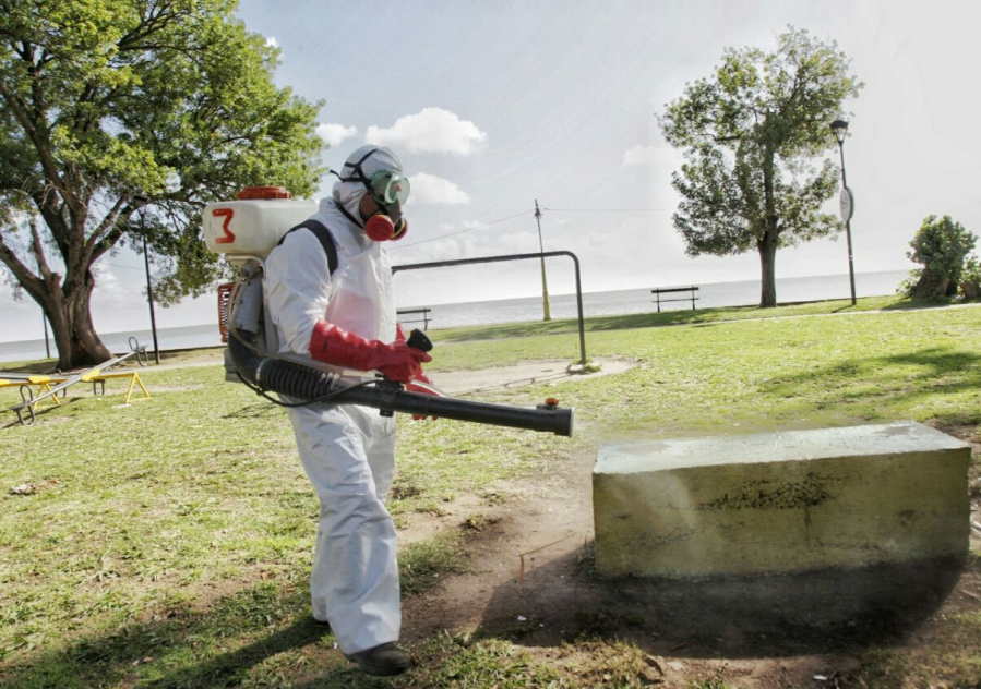 Intensificarán la lucha contra el dengue en 31 municipios bonaerenses e incluye a La Plata