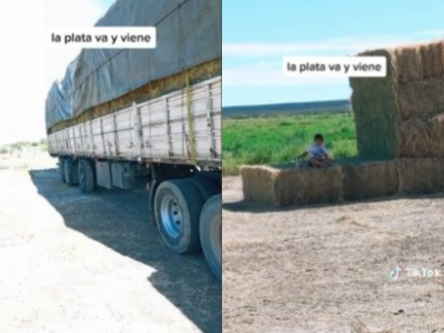 ”La plata va y viene”: el tierno video de un trabajador mostrando a su compañero que dejó un lindo mensaje