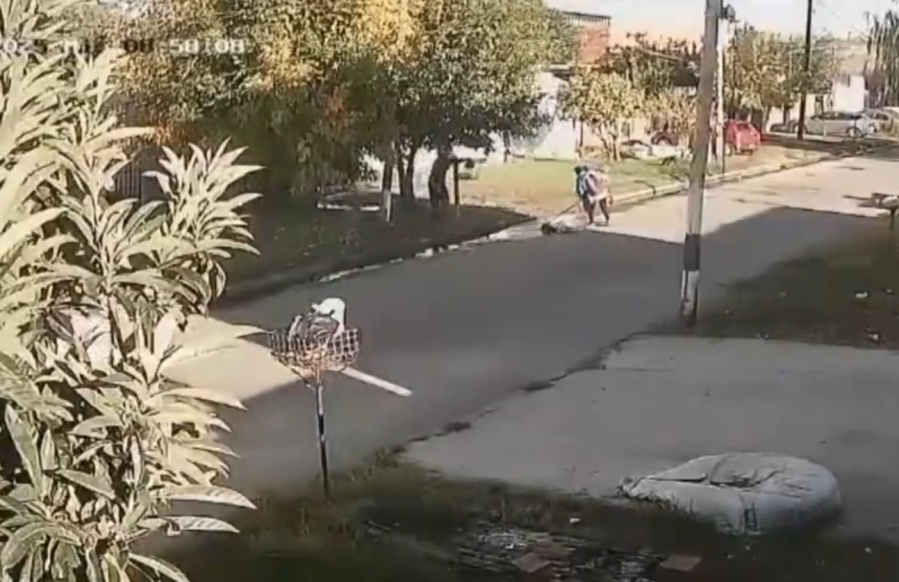 Quedó en libertad el chofer que embistió a una barrendera en Tolosa pero no podrá volver a conducir vehículos automotores