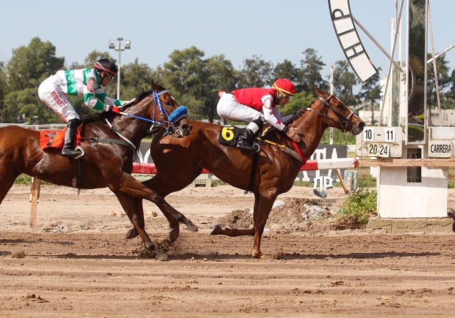 Food trucks, circo, DJ y muestra fotográfica: el Hipódromo de La Plata se prepara para el Gran Premio Dardo Rocha