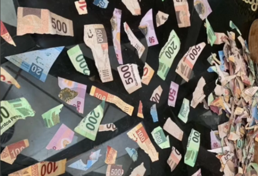 Una nena de 4 años se confundió, destruyó todos los ahorros de su primo y se hizo viral: ”¿Sigue viva?”