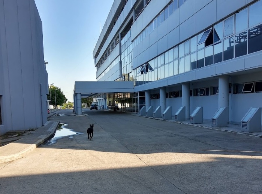 Intentaron abusar de una mujer en 124 y 76 bis y gracias a sus gritos logró evitar el ataque