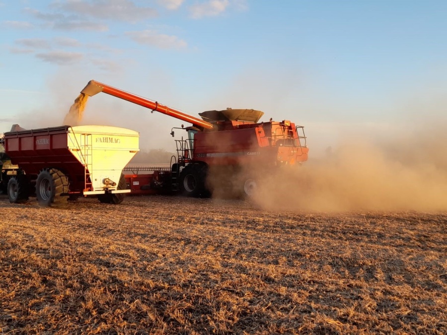 Oficializaron la baja temporal de retenciones a los principales cultivos y publicaron la letra chica