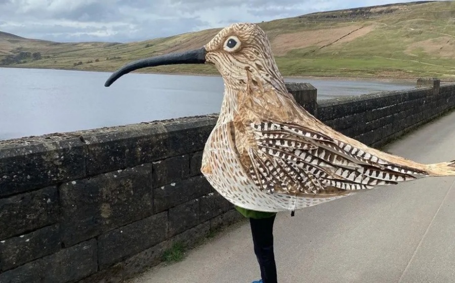 Un hombre caminó más de 80 kilómetros disfrazado de un ave: lo hizo en dos días y quedó muy conforme