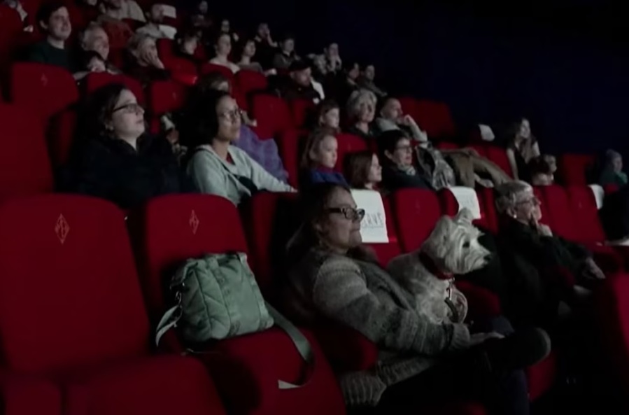 Un cine le abrió la puerta a los perros, fue un exitazo y ya tienen en carpeta otras funciones con películas icónicas