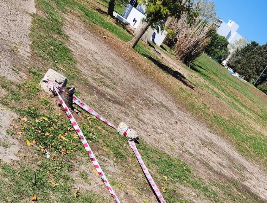 En Parque Alberti reclamaron por una ”luminaria fantasma”