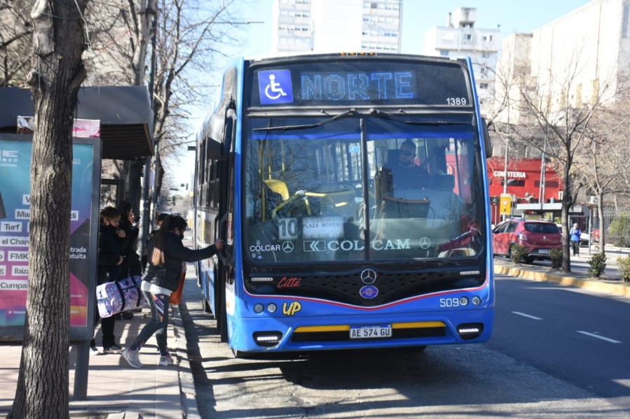 Feriado Nacional tras el atentado a Cristina Kirchner: así funcionarán los servicios municipales de La Plata
