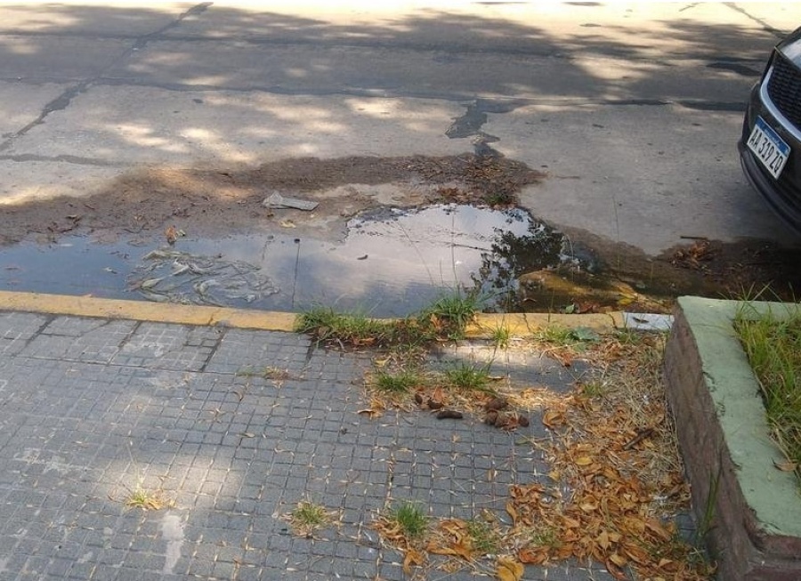 En 14 y 37 reclamaron por una pérdida de agua que está rompiendo el asfalto
