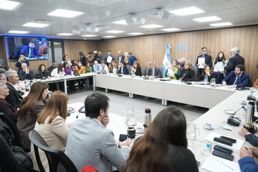 Diputados aprobó la creación de la comisión que investigará el caso del fentanilo contaminado