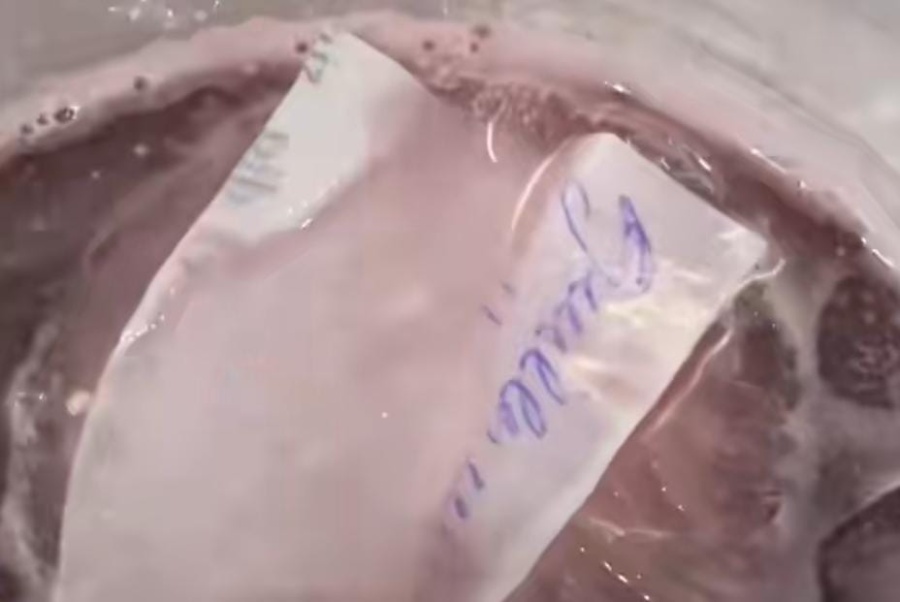 Le pidieron hielo a la kioskera para prepararse unos tragos y se asombraron por lo que encontraron dentro de un hielo