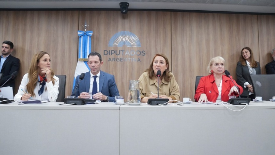 Diputados puso en marcha la comisión que investiga el caso del fentanilo contaminado