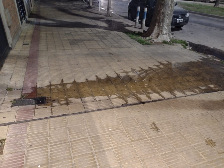 ”Sale a chorros”: Una pérdida de agua en La Plata llega hasta el cordón de la vereda