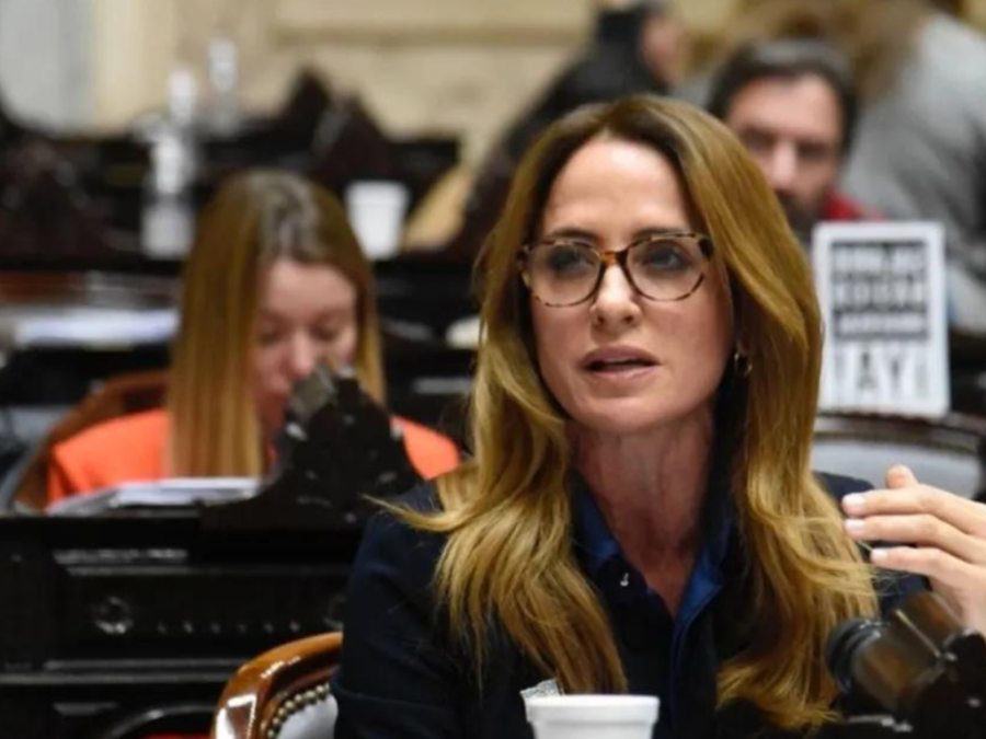 Tolosa Paz sobre la Ley Ómnibus: “El Gobierno se lleva puesta la casa de la democracia”