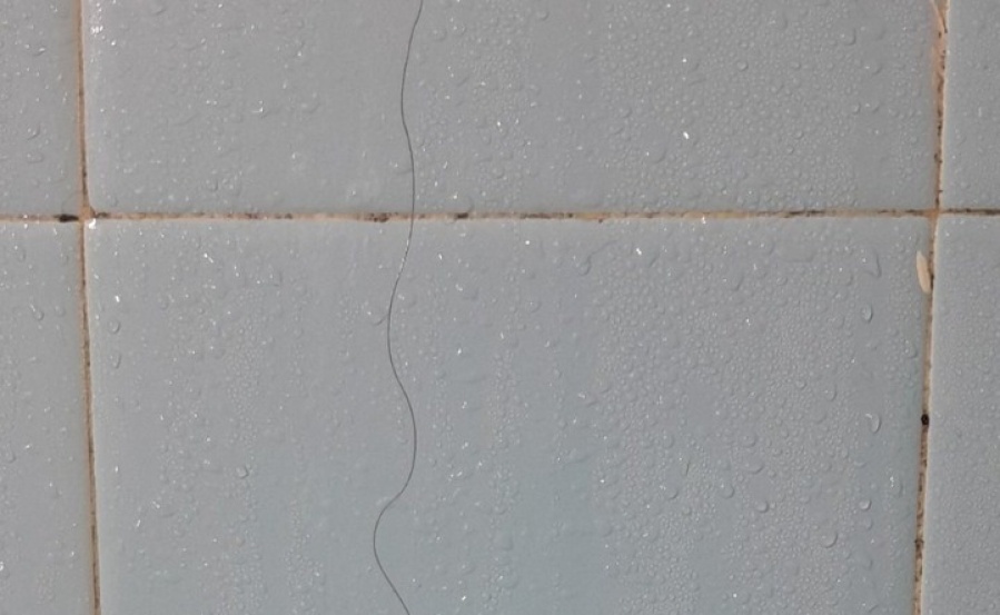 Encontró un pelo de otra chica en el baño de su casa y dudó del argumento de su pareja: ”Voy a fingir demencia hasta que...”