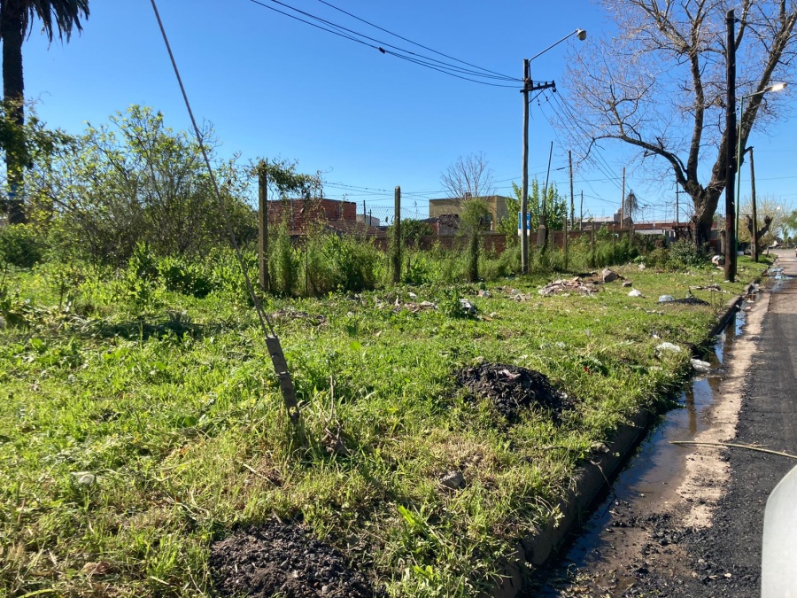 ”Que saquen la mugre”: El pedido de los vecinos de Villa Elvira ante la falta de mantenimiento en el barrio