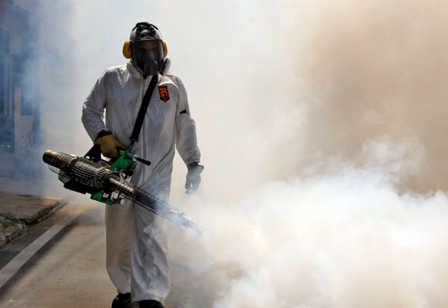 Alerta por el dengue: fumigarán en Villa Elisa, City Bell, San Carlos, Los Hornos, Olmos y Melchor Romero este lunes