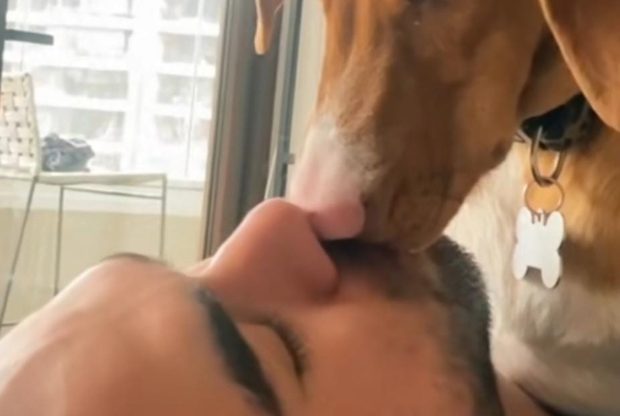 ”Amor puro hacia su papá”: filmó a su perro besando a su dueño y enterneció a todos los usuarios