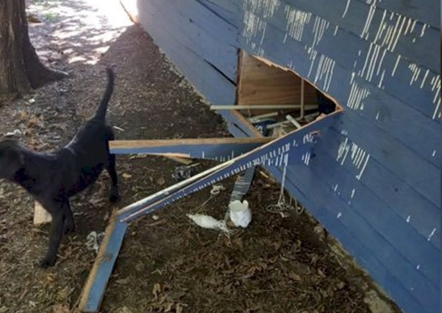 Atacaron y desvalijaron el Club Sporting de Romero